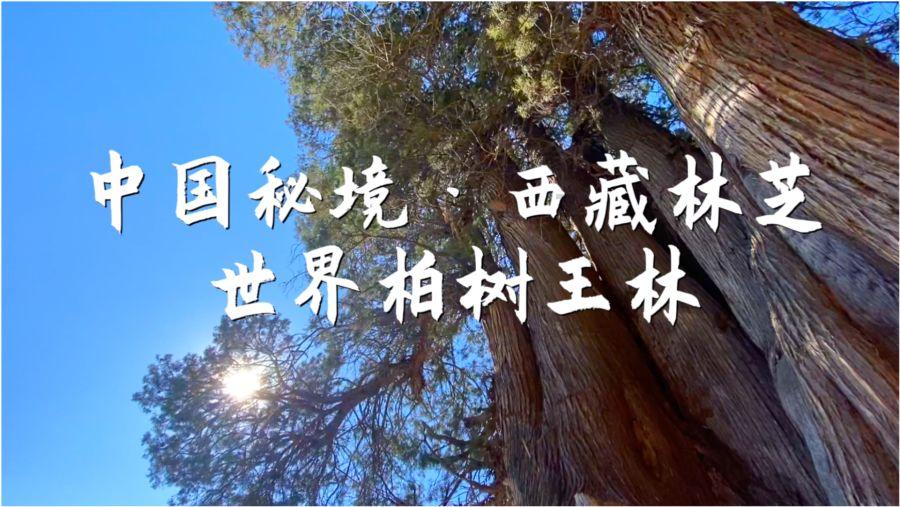 钱学森晚年去医院看病，病症测试惹他怒号，医生感动落泪原因动容