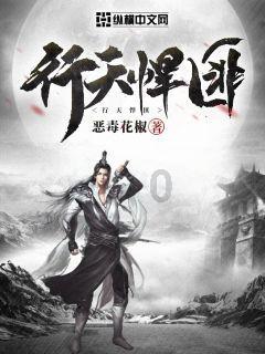 狗狗物品记忆卡