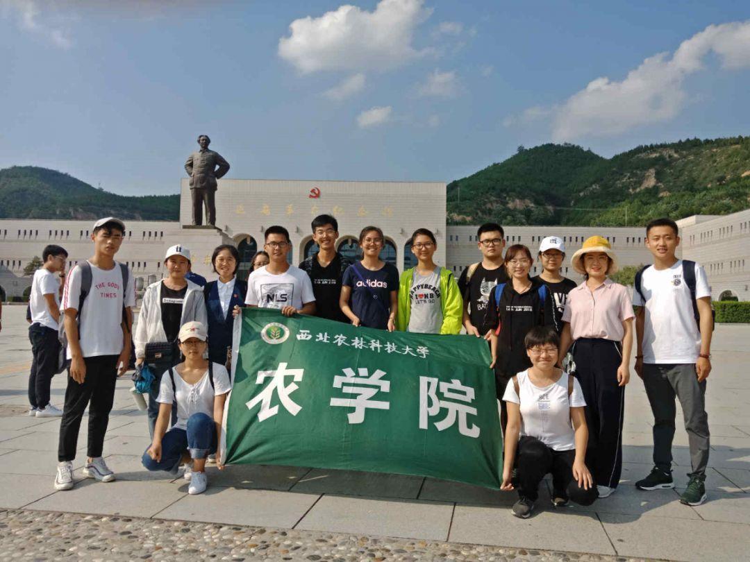 新奥特曼大决战