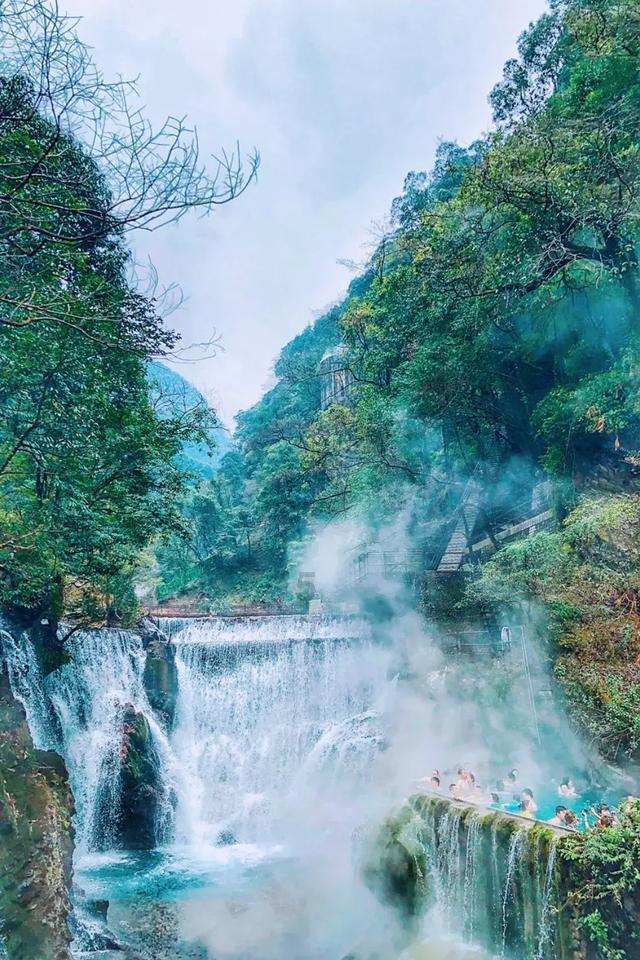 救援蓝色小兔