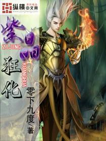 三国志13PK